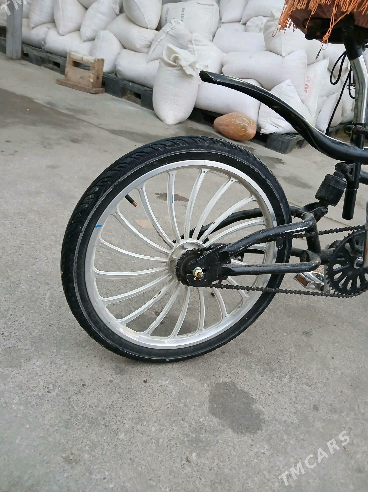 Tigir duga - Büzmeýin - img 3