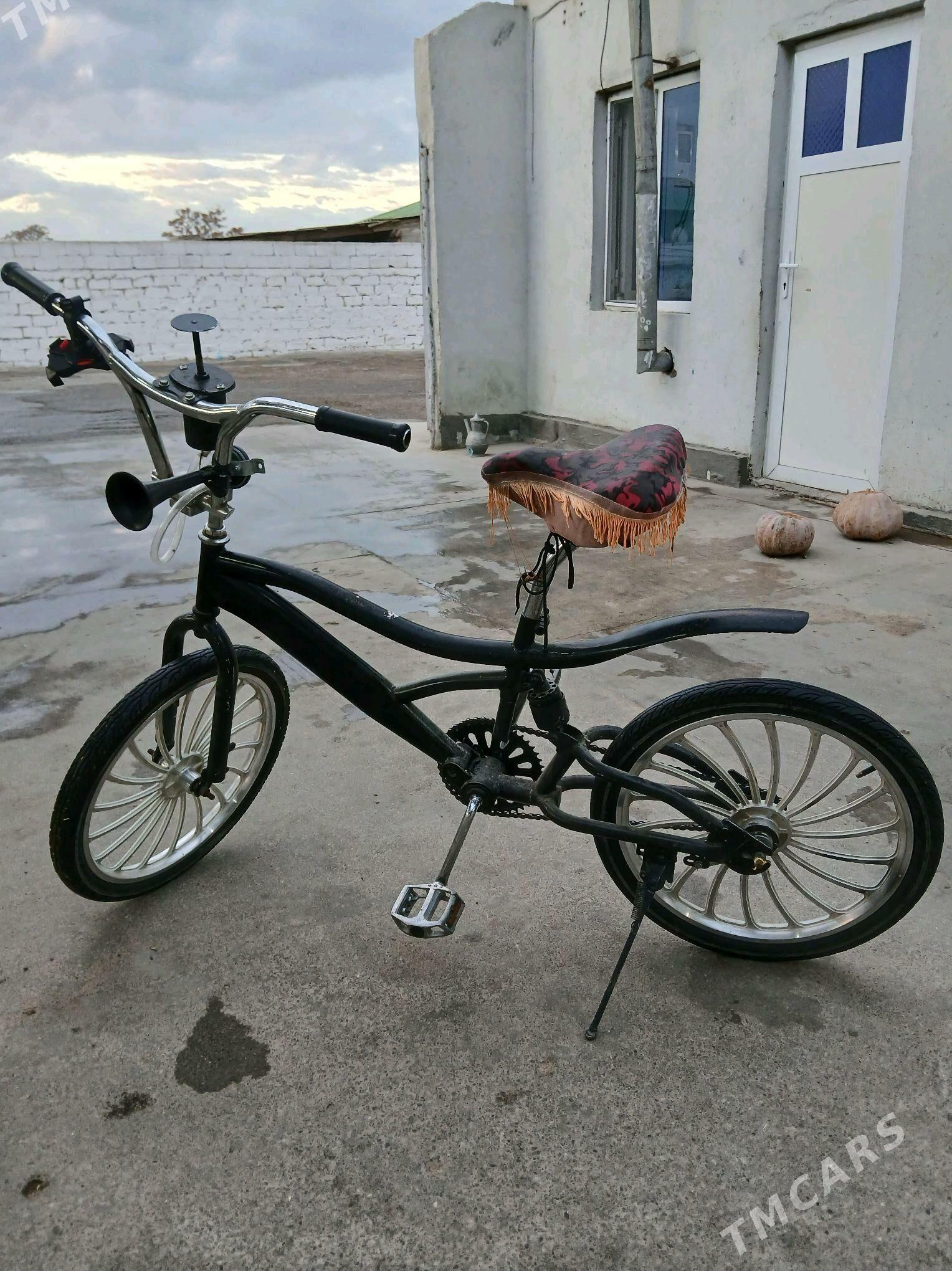 Tigir duga - Büzmeýin - img 2