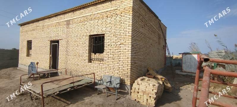 ayraport daça saglyk yolda - Туркменабат - img 2