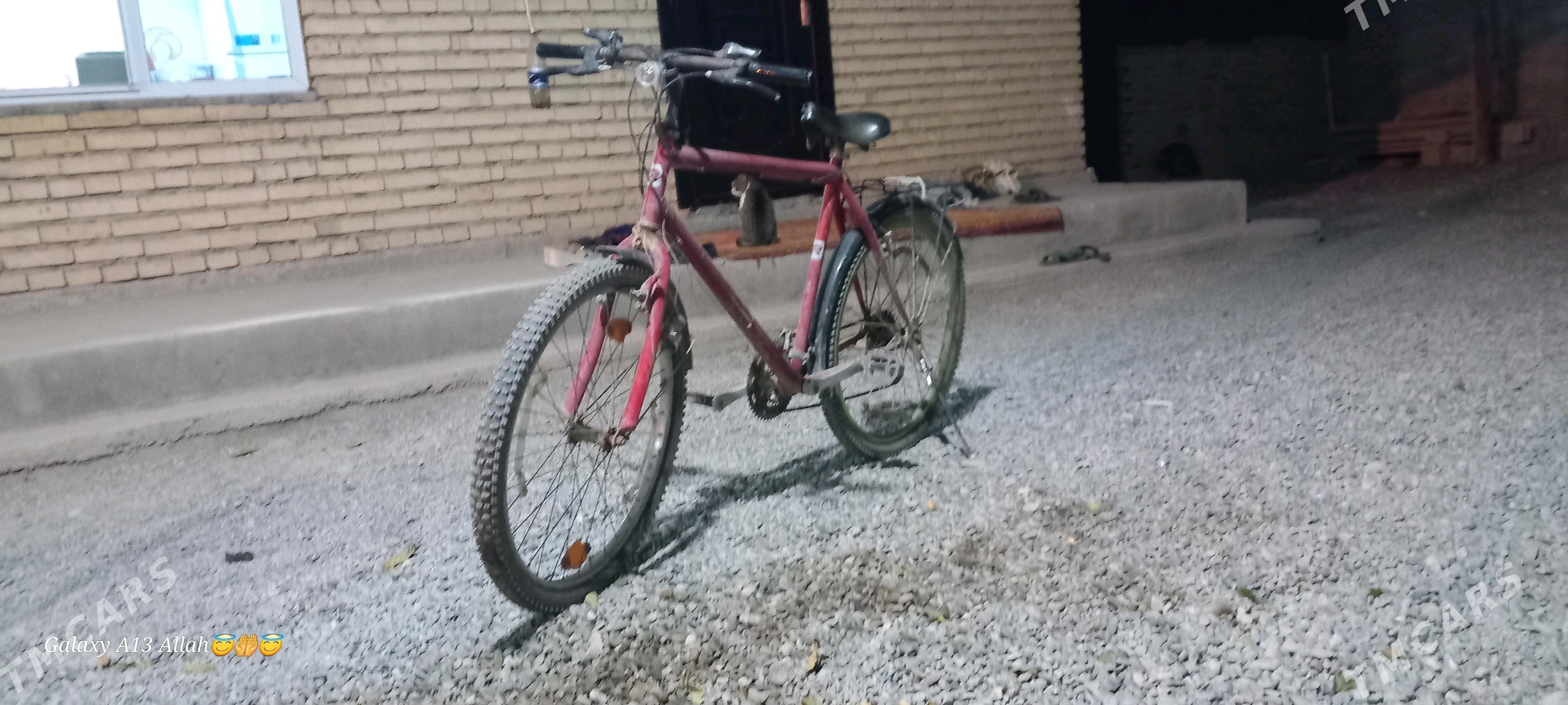 italyanysky arginal tigir - Kaka - img 2