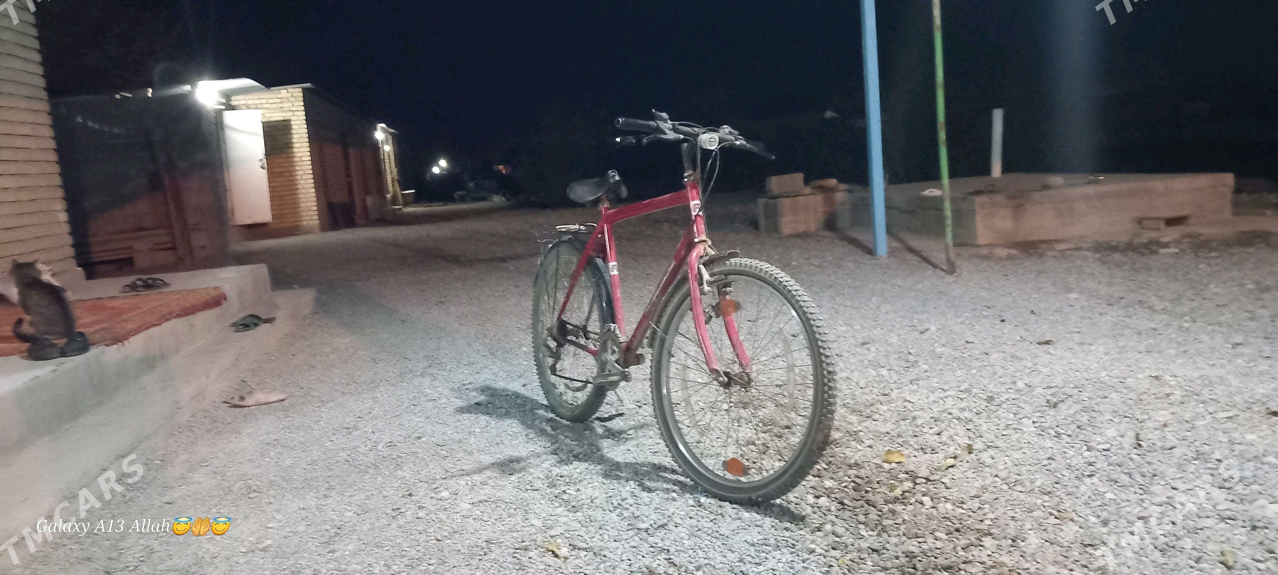 italyanysky arginal tigir - Kaka - img 1