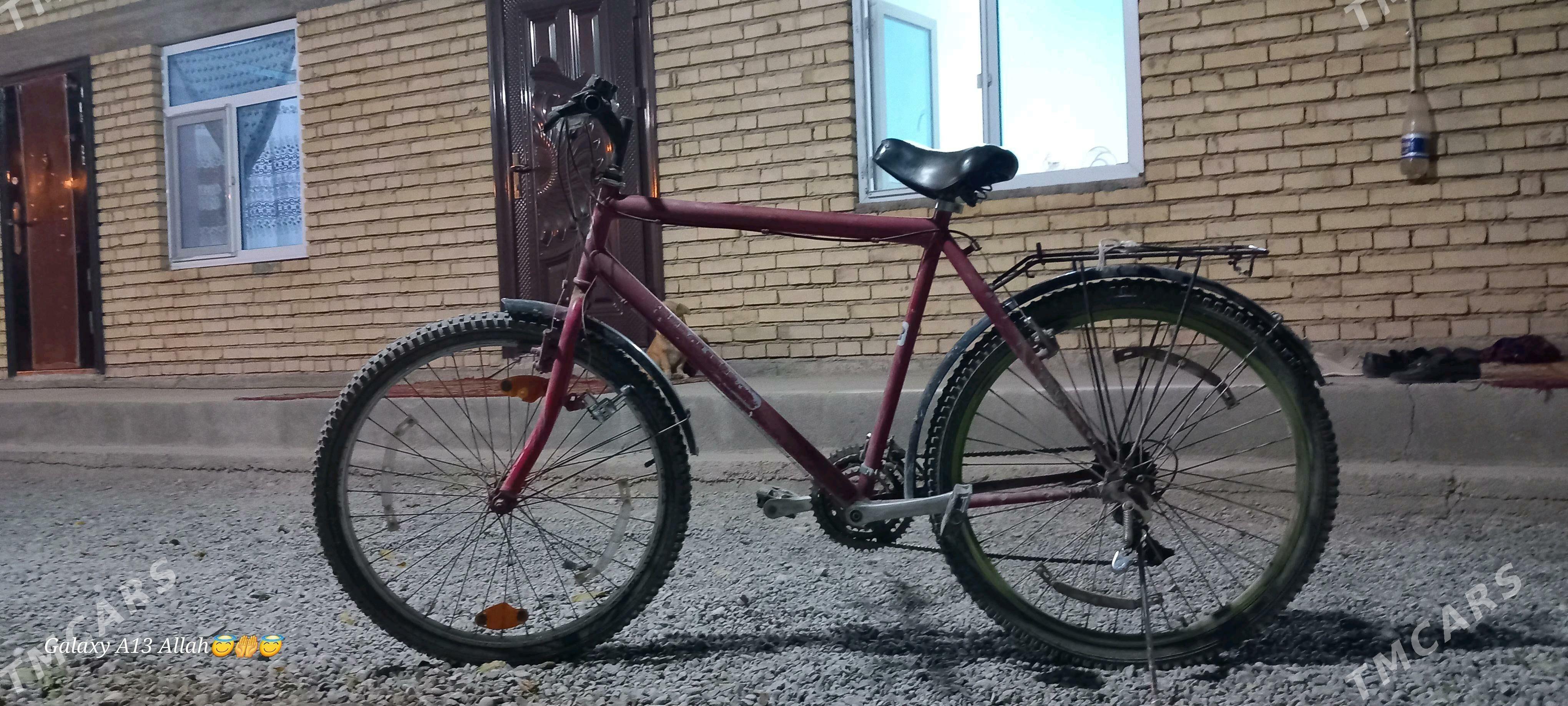 italyanysky arginal tigir - Kaka - img 3