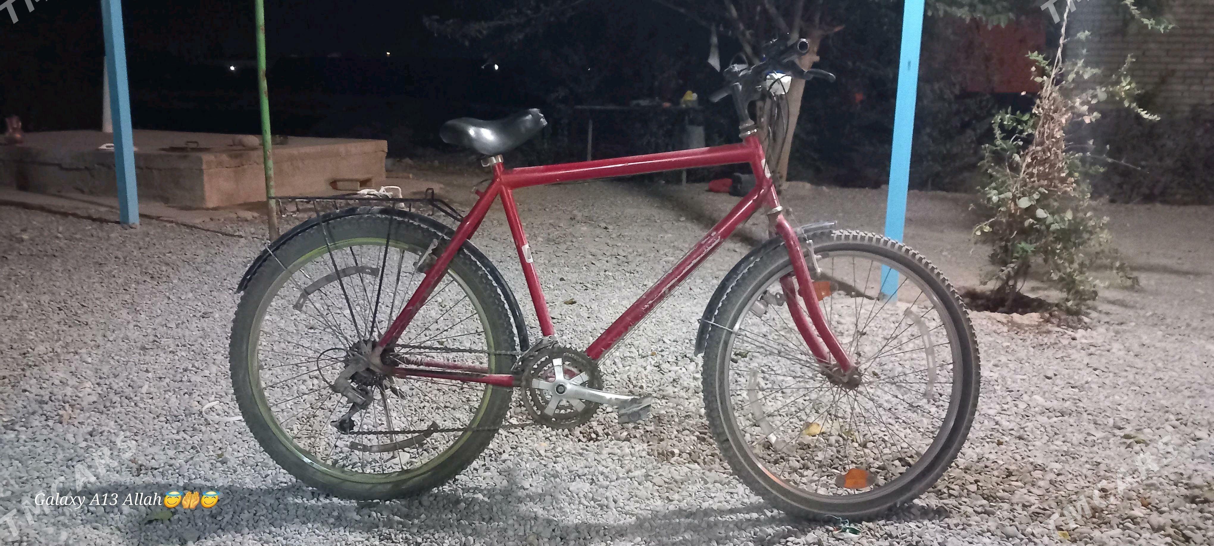 italyanysky arginal tigir - Kaka - img 4