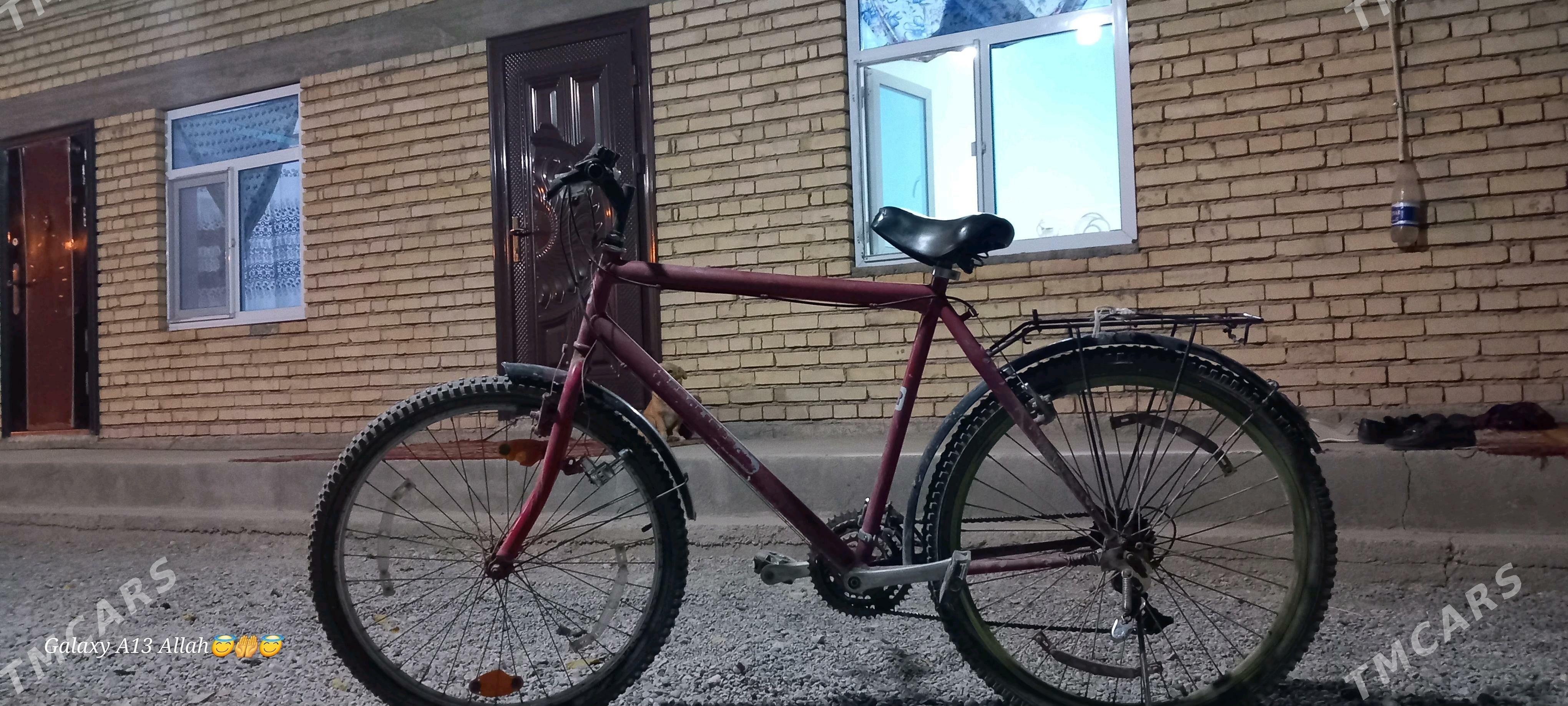 italyanysky arginal tigir - Kaka - img 5