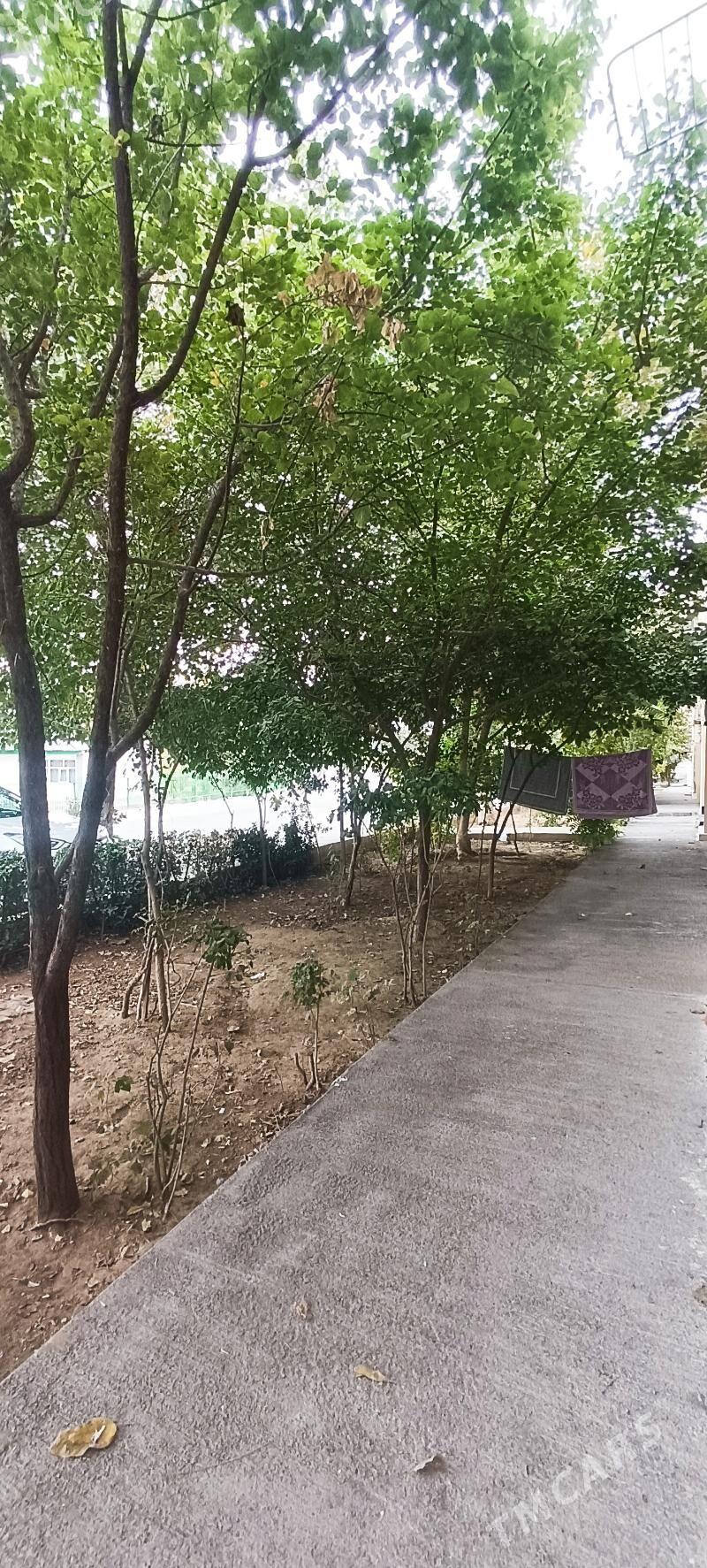 3 Мкр 1 Этаж с Огородом - 3 мкр - img 3