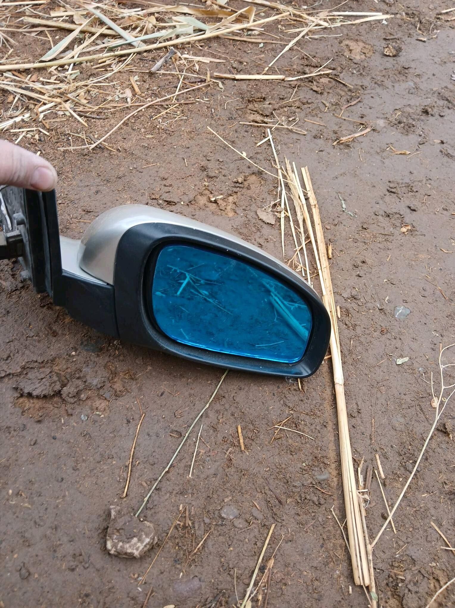 signum bakawoy vegtra s 300 TMT - Гороглы (Тагта) - img 1