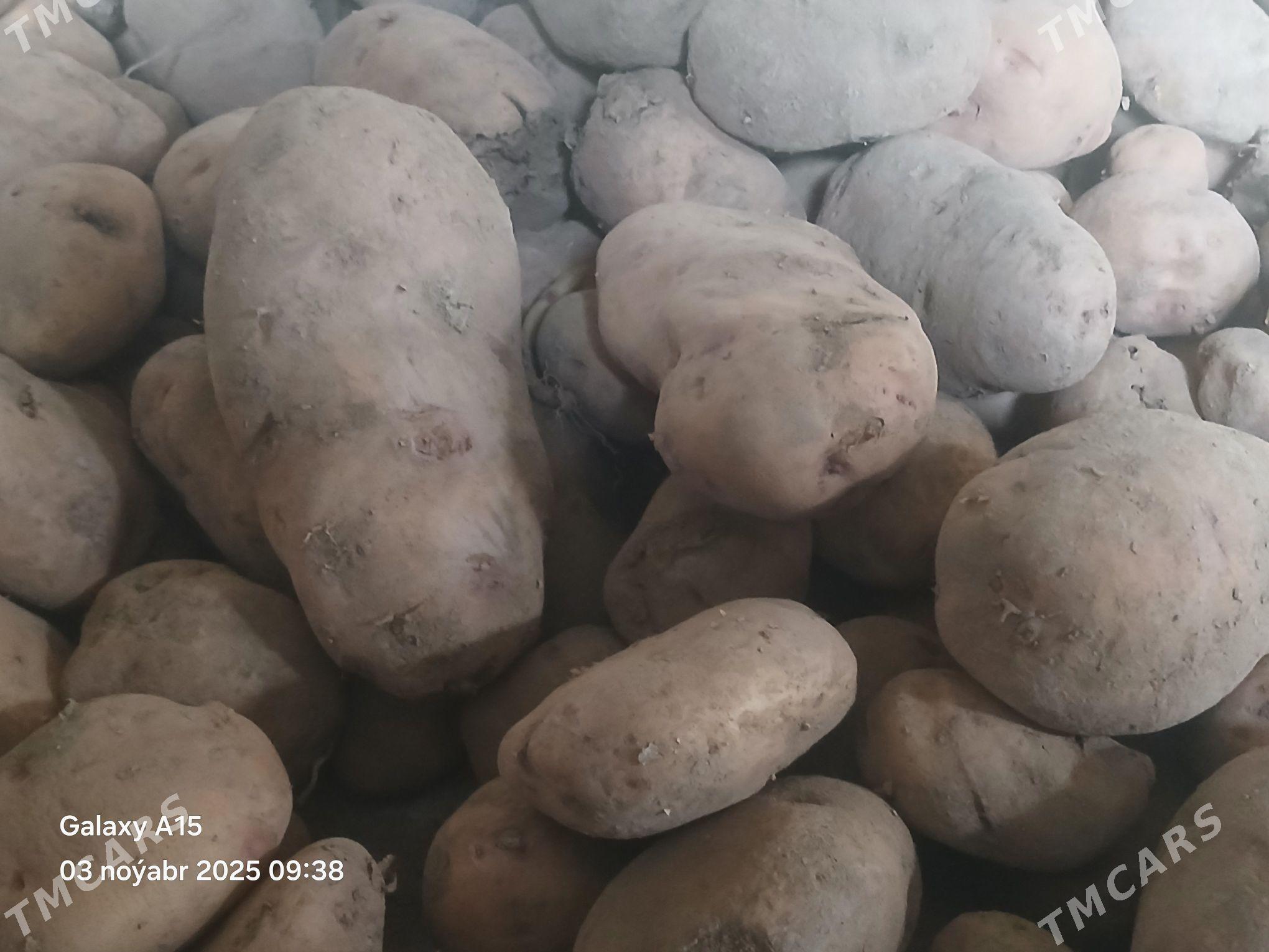 kartoşka - Bäherden - img 1