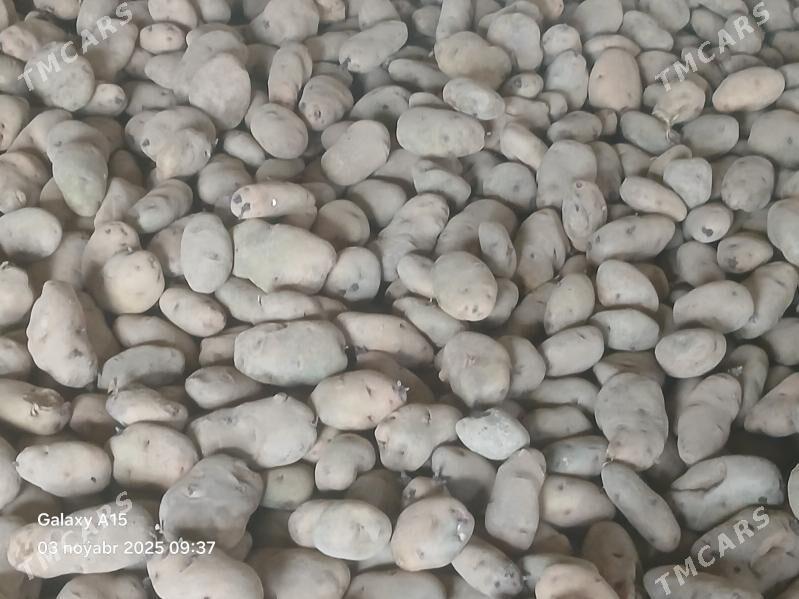 kartoşka - Bäherden - img 3