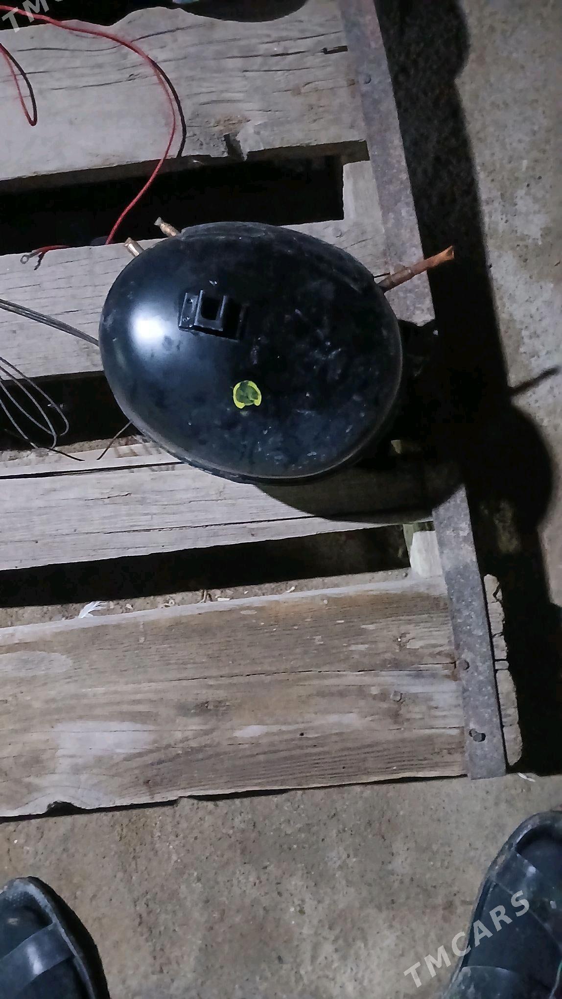 hyladinik matory - Aşgabat - img 2