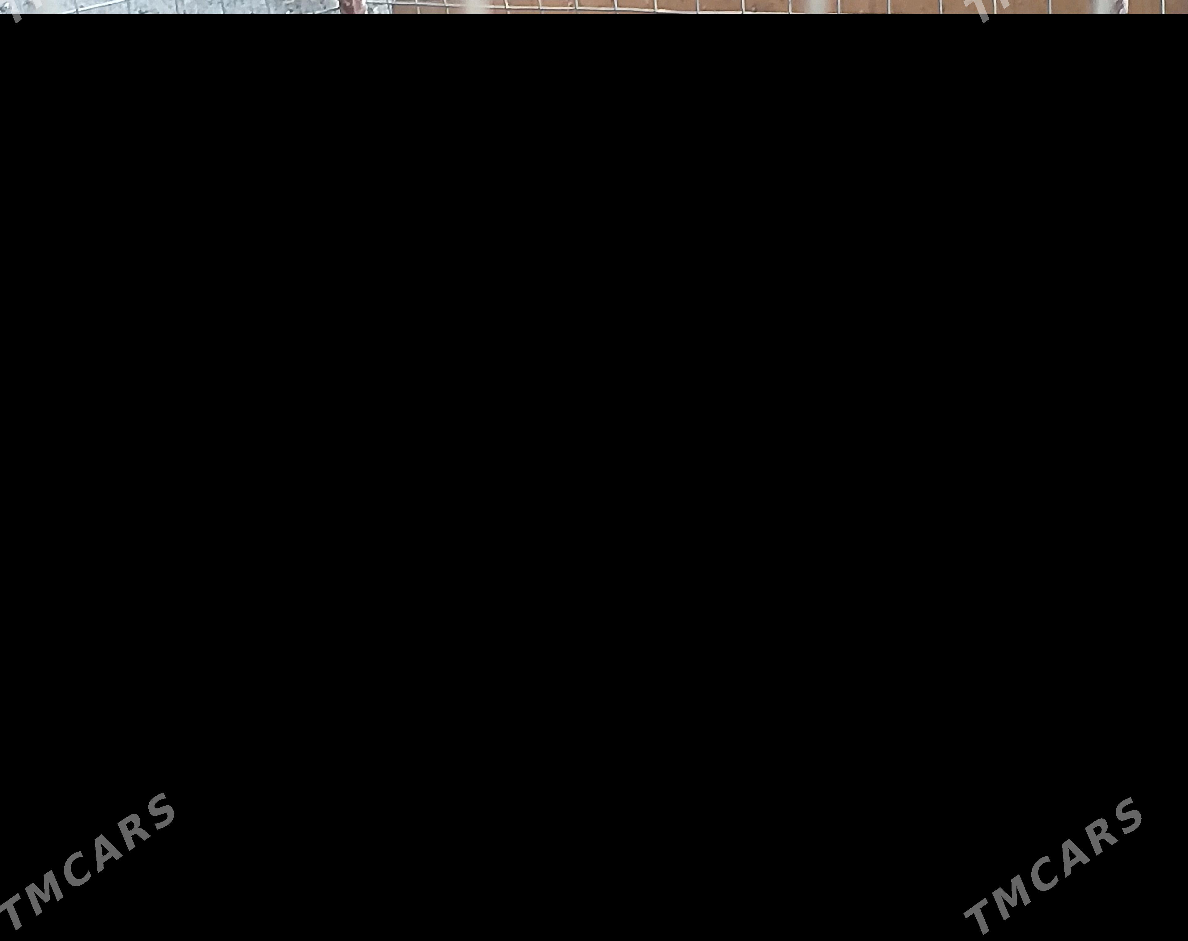 Karlik towuk - Туркменабат - img 3