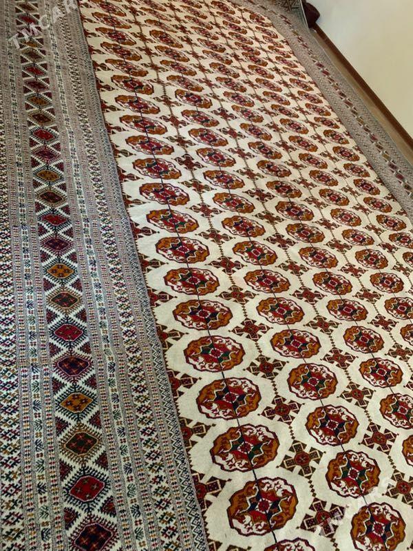 baherden el haly - Бахарден - img 2