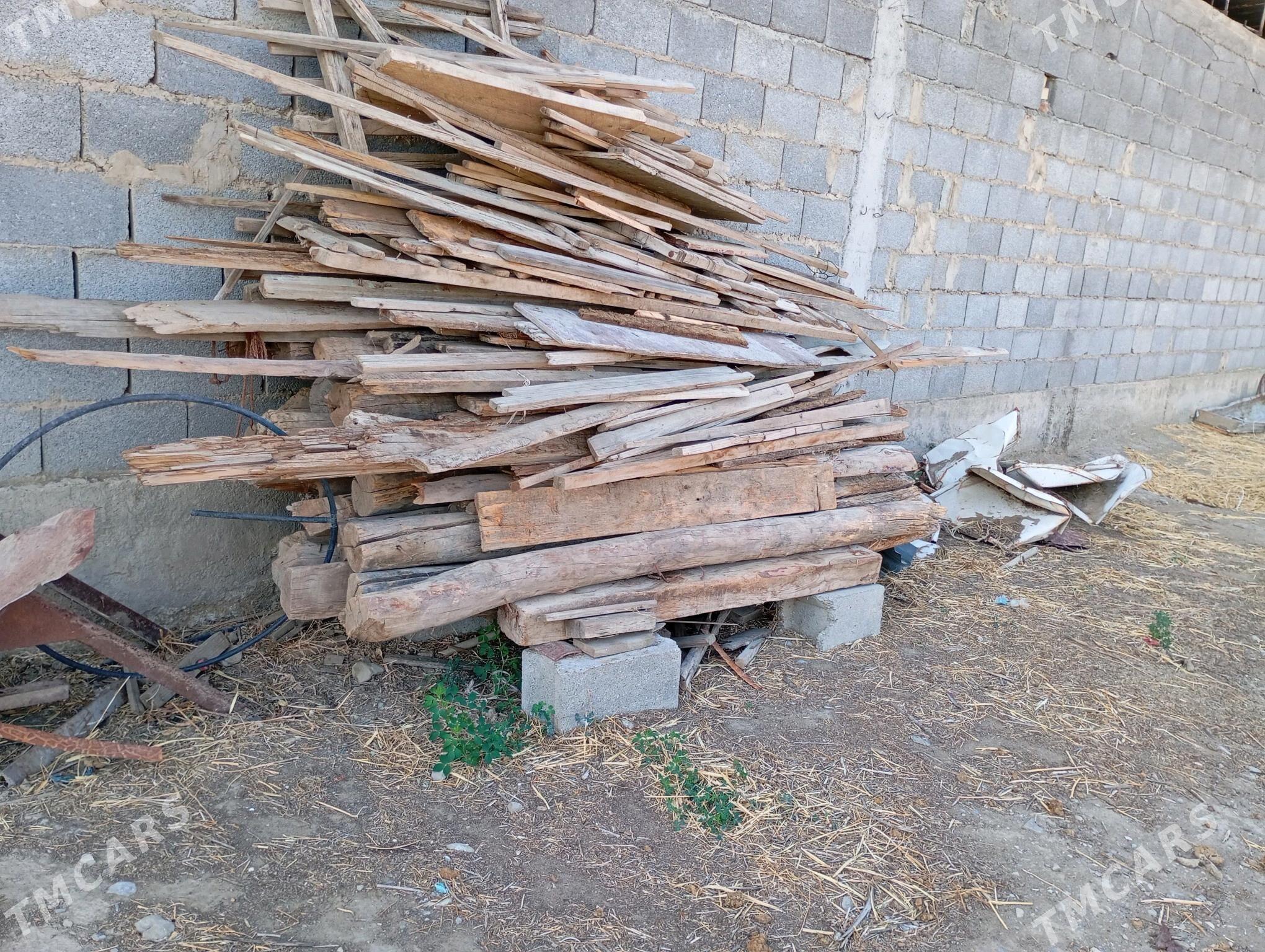 agaçpurus - Bäherden - img 1