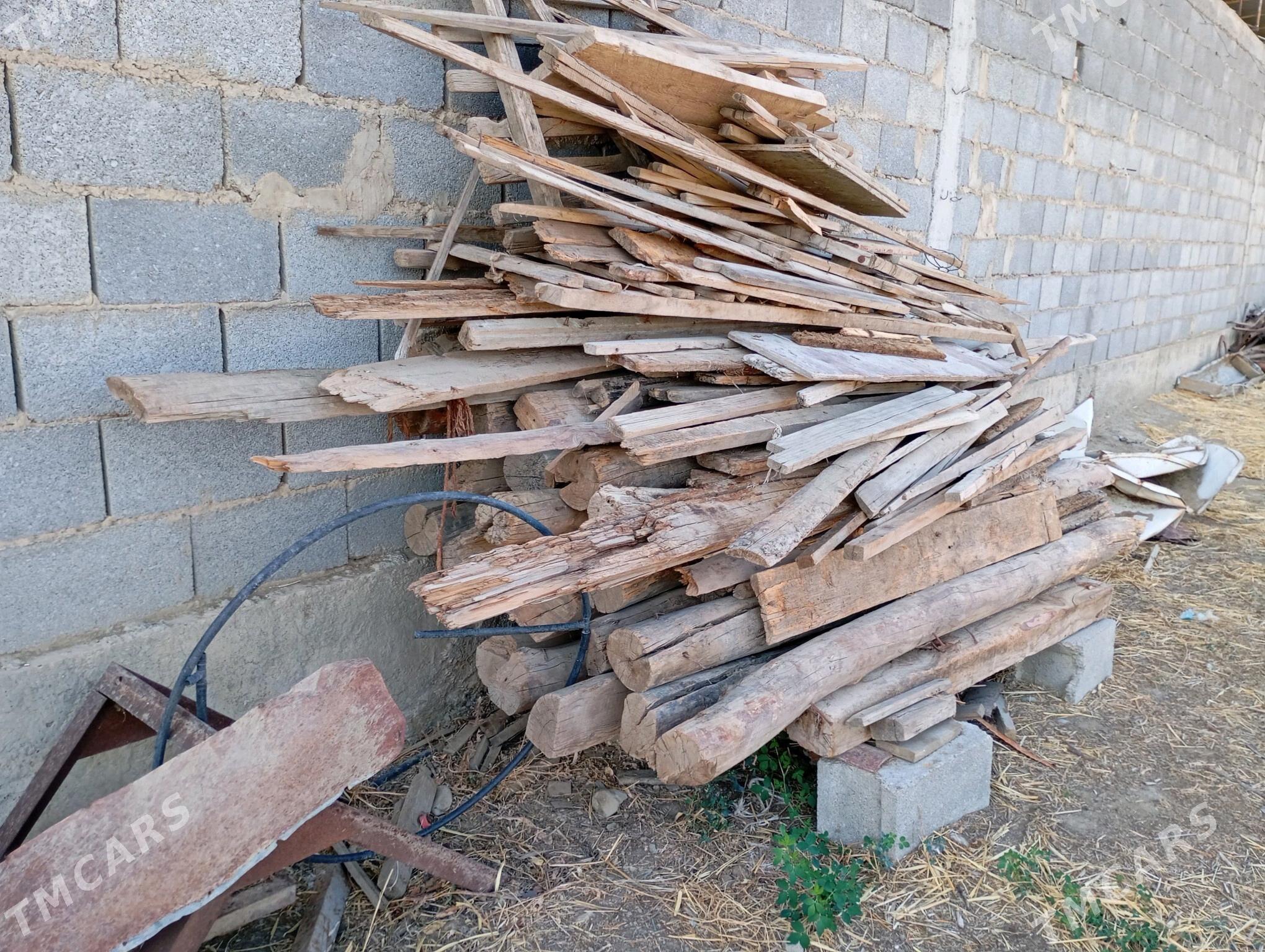 agaçpurus - Bäherden - img 2