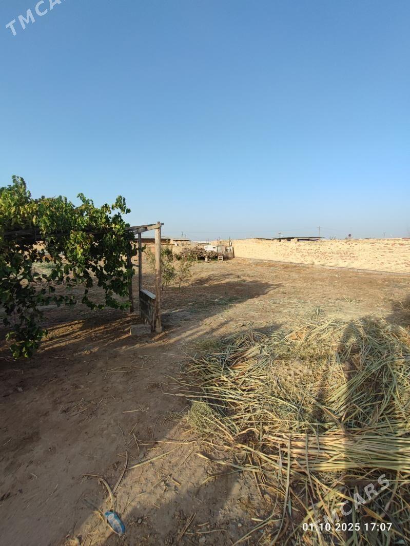 ДАЧА - Türkmenabat - img 2