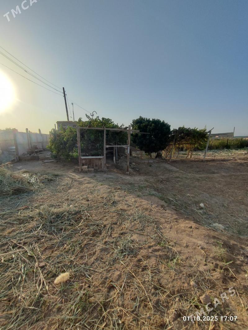 ДАЧА - Türkmenabat - img 4