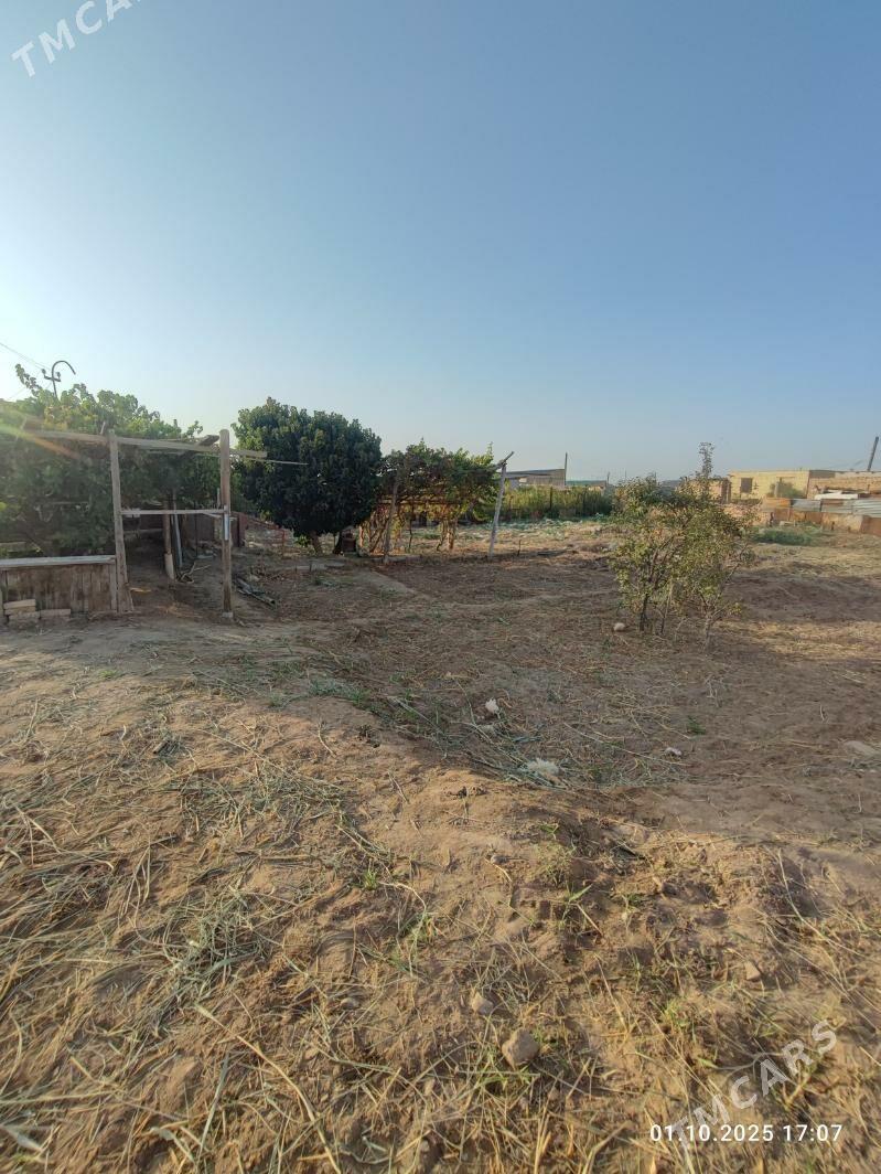 ДАЧА - Türkmenabat - img 3