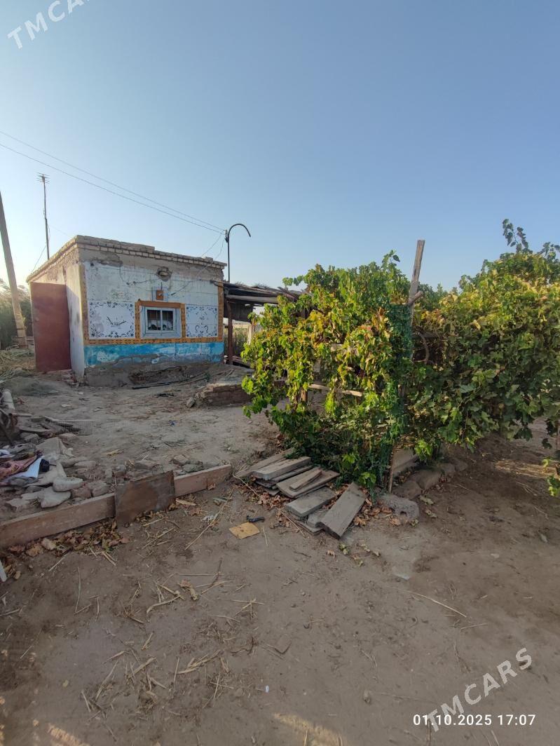 ДАЧА - Türkmenabat - img 1