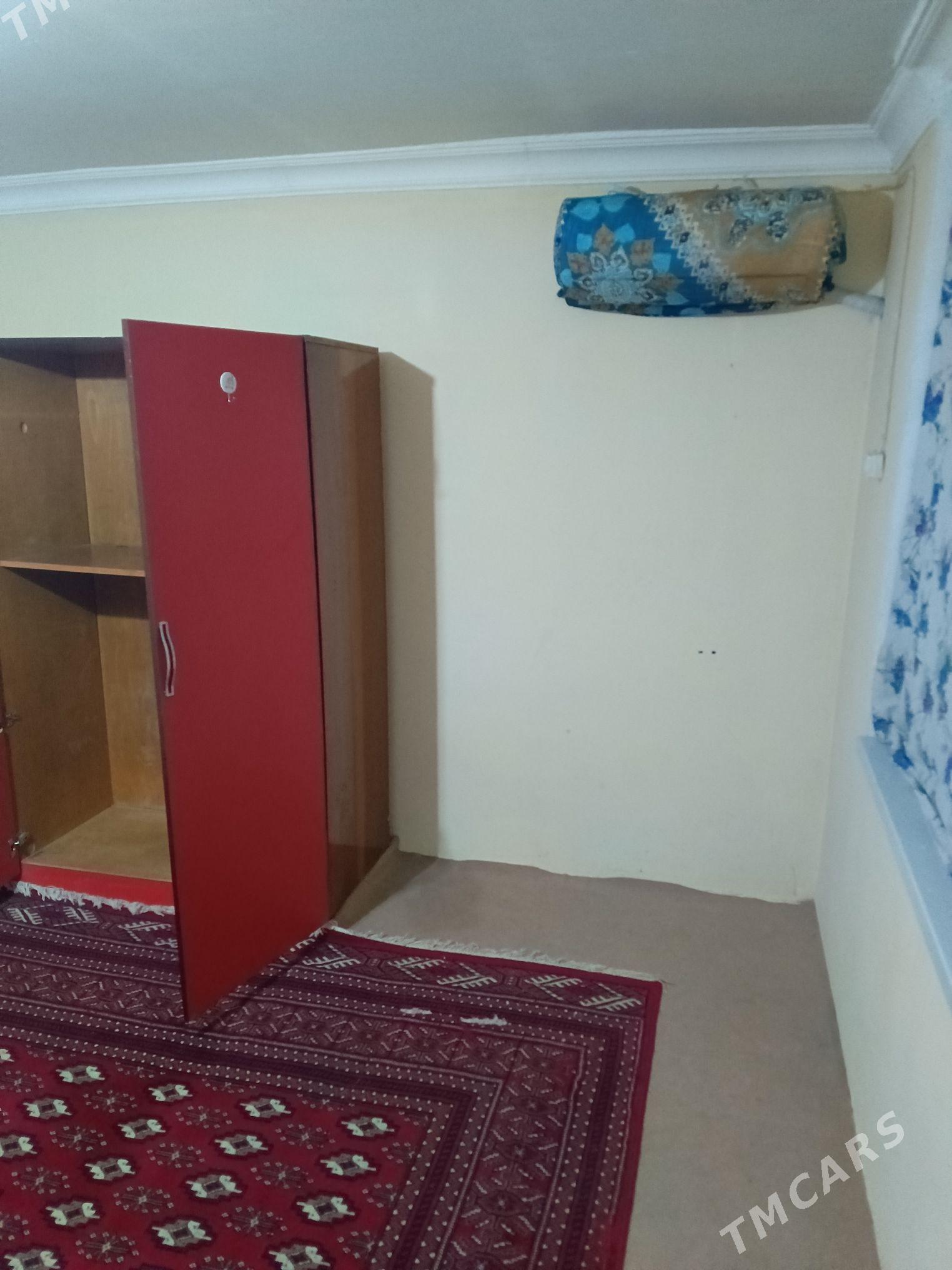 kwartyra - Çoganly - img 3