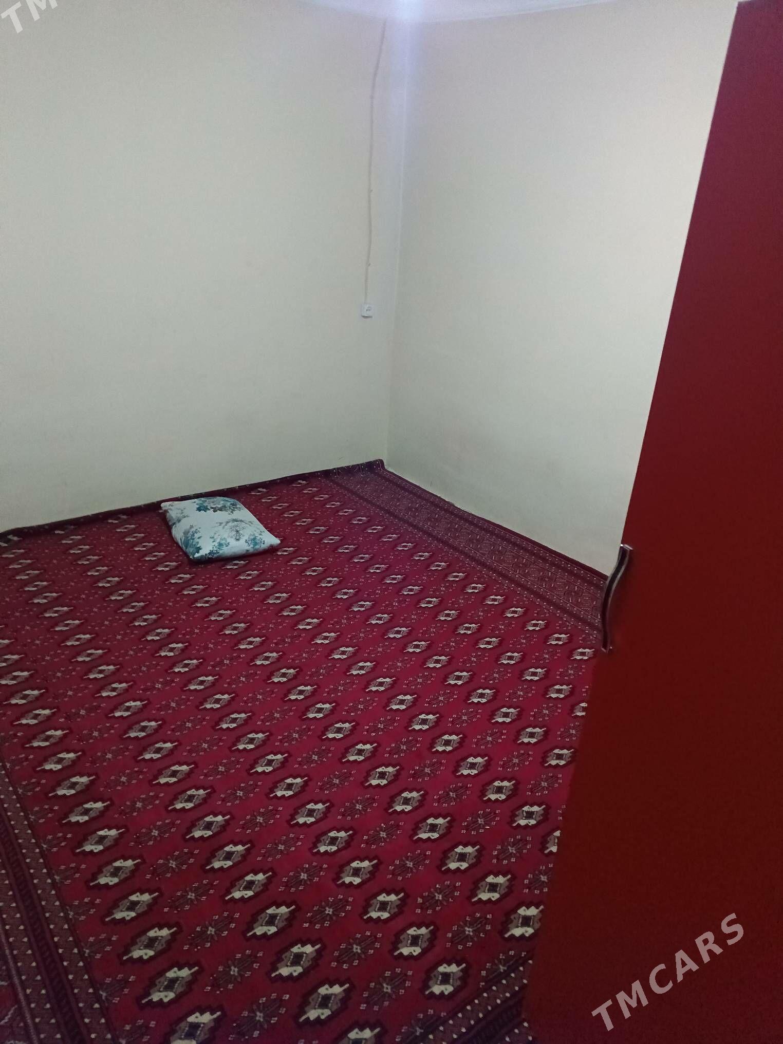 kwartyra - Çoganly - img 2