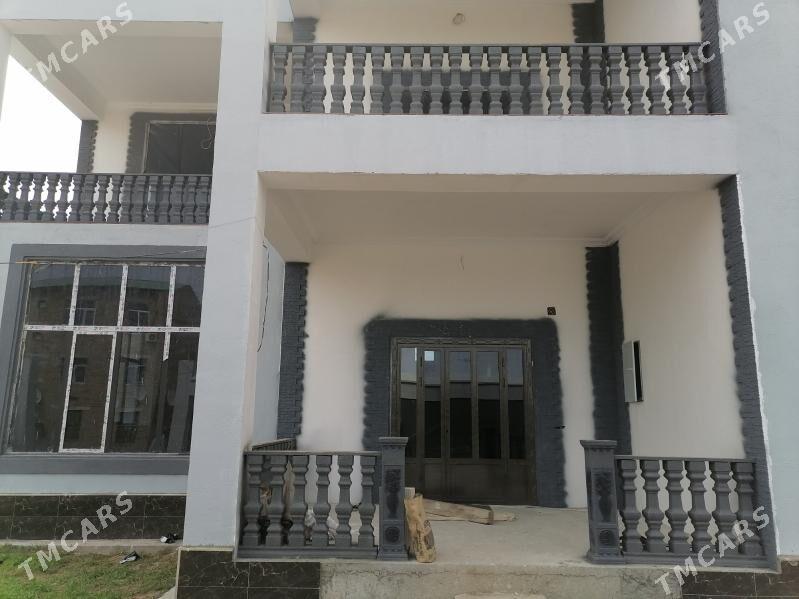 Перилла Perilla - Türkmenabat - img 3