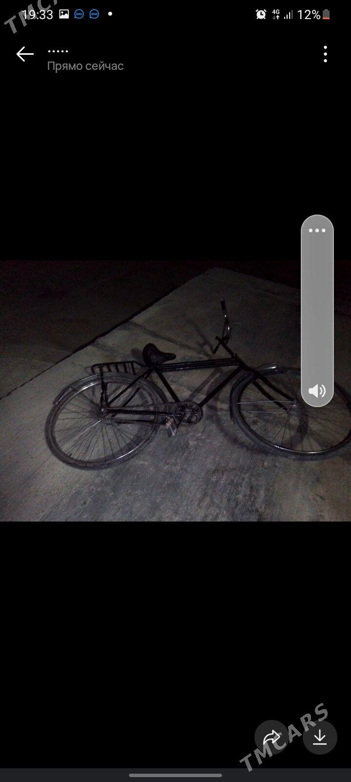 tigir - Kaka - img 2