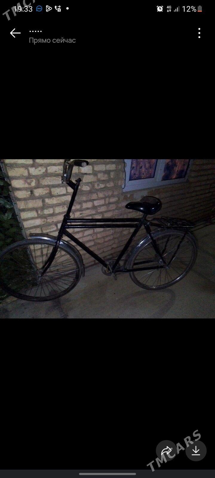 tigir - Kaka - img 3