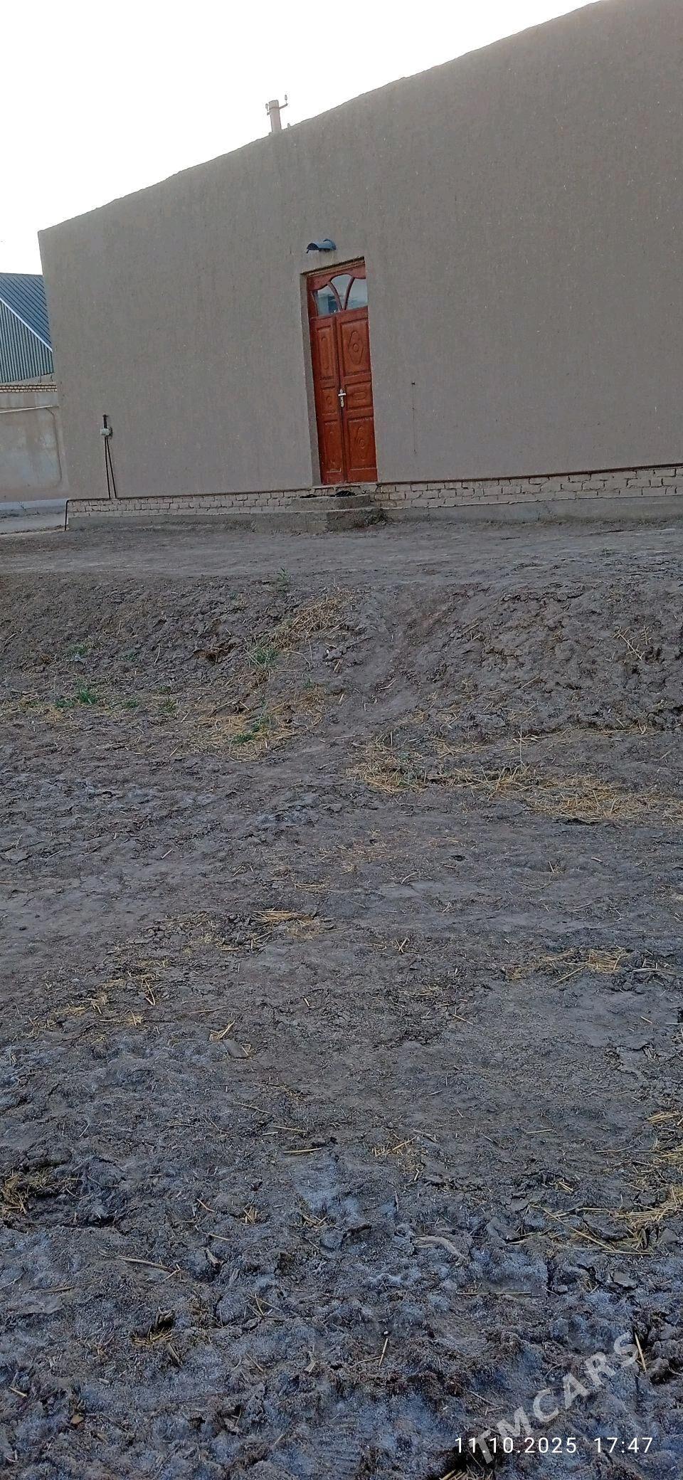 satlyk jay - Акдепе - img 4