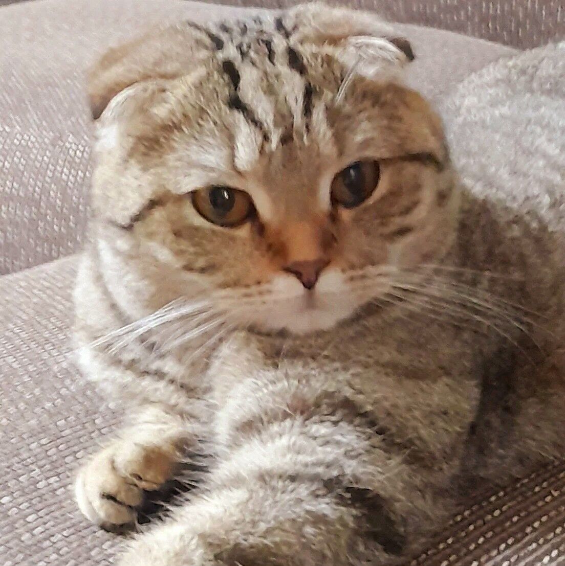 Мальчики - Aşgabat - img 4