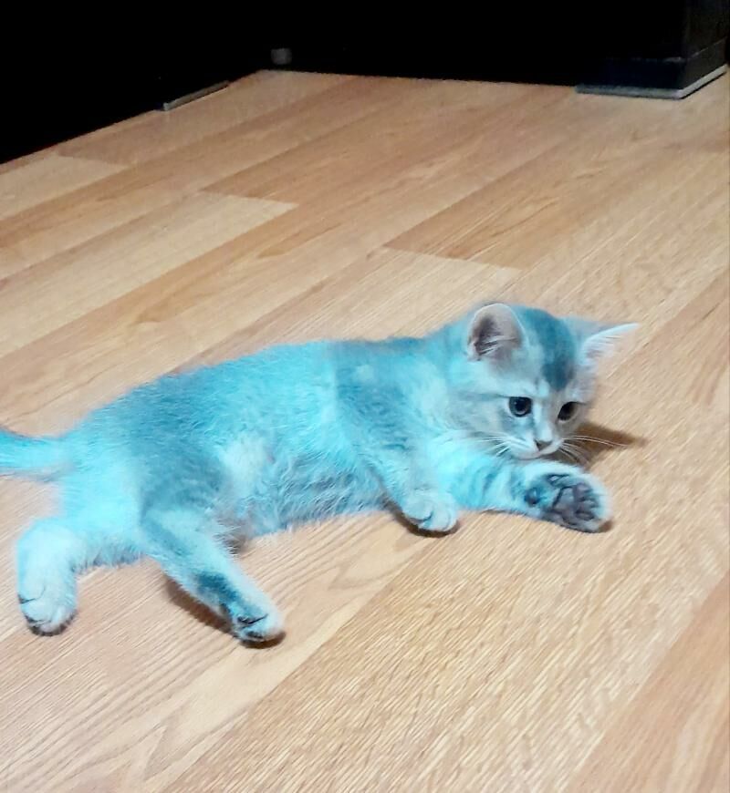 Мальчики - Aşgabat - img 3