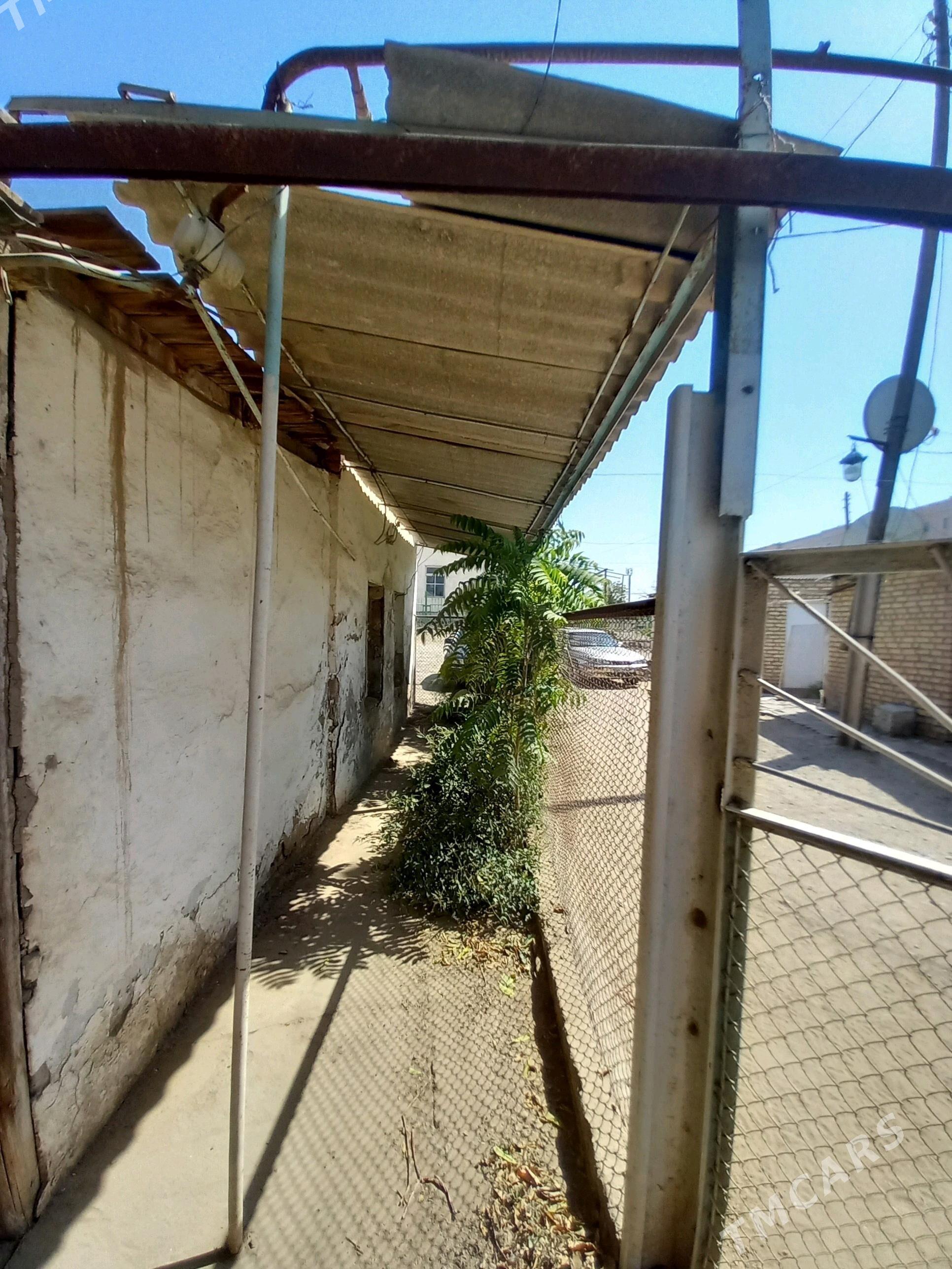 Satlyk howly - Мары - img 2