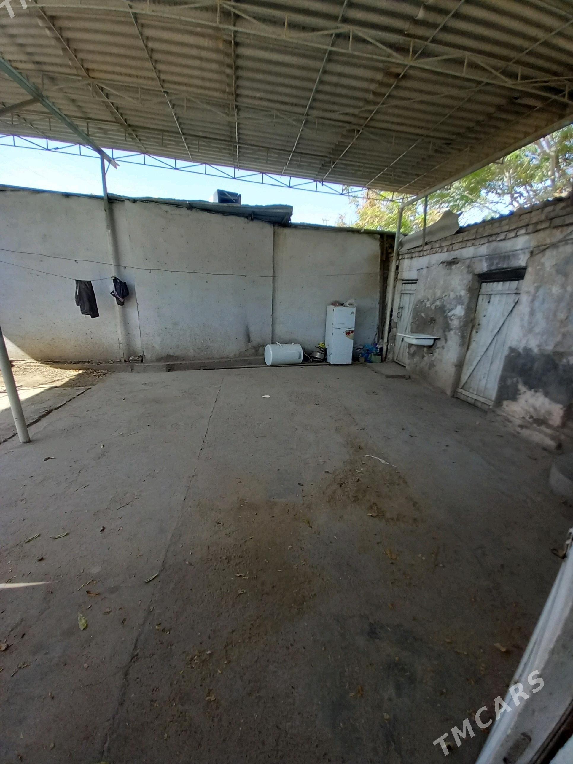 Satlyk howly - Мары - img 4