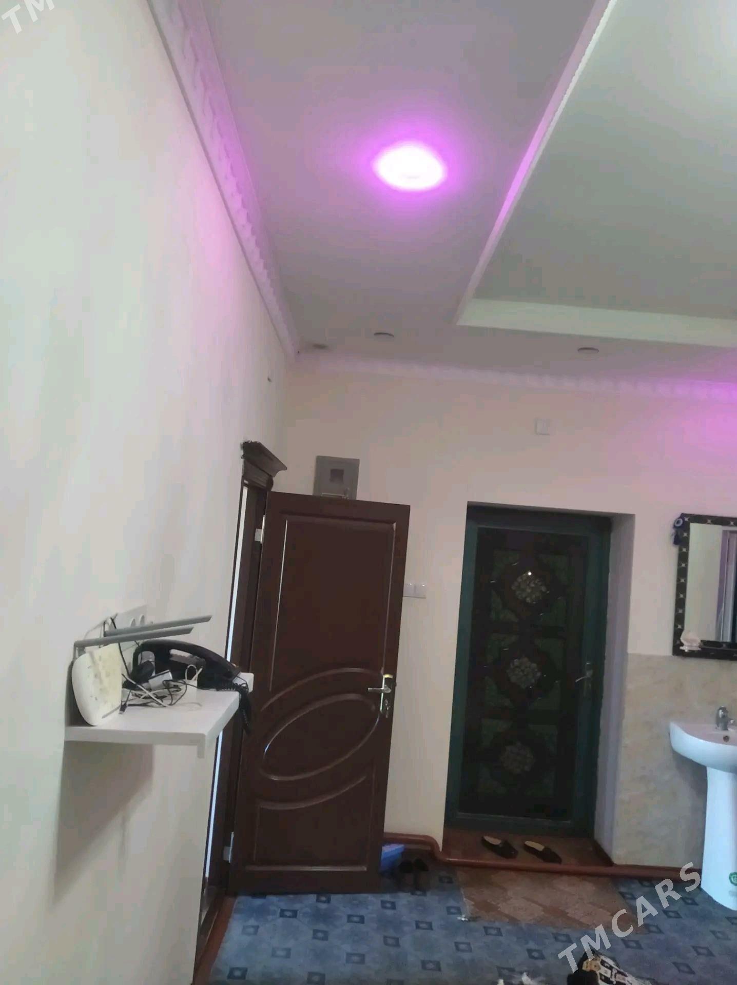 Jay - Ruhubelent etraby - img 2