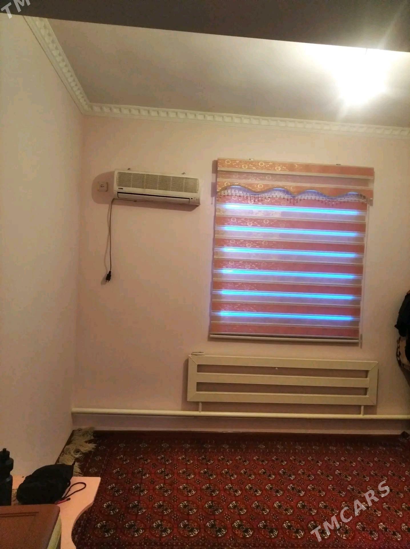 Jay - Ruhubelent etraby - img 4