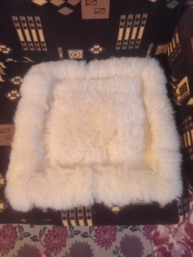 KÜRK ÇEHOL . 500 TMT - Серахс - img 1