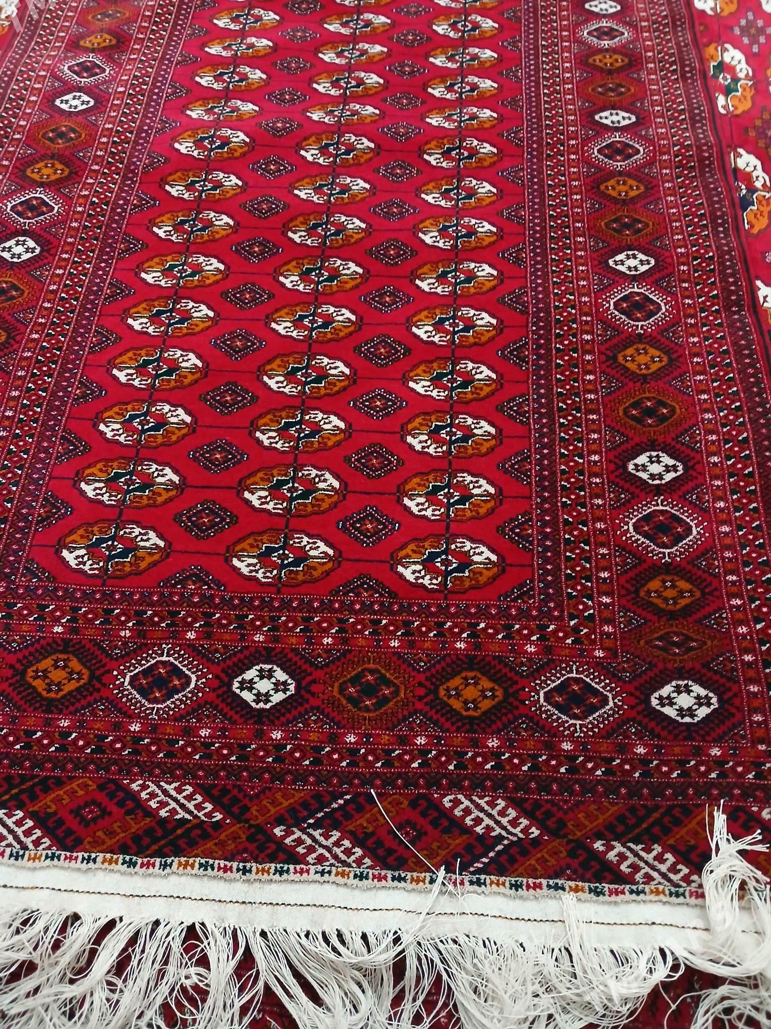 el haly - Gökje - img 2