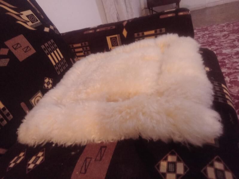 KÜRK ÇEHOL . 500 TMT - Sarahs - img 2