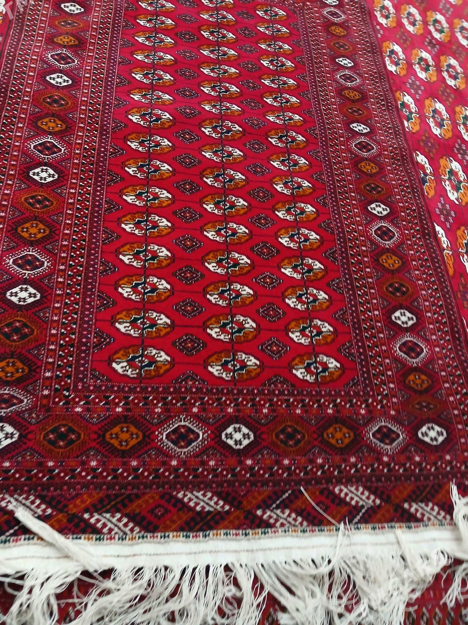 el haly - Gökje - img 1