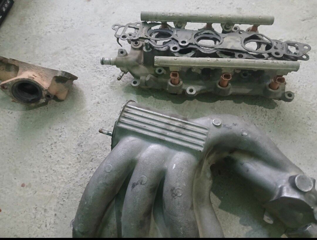 Parsunka kamplkit 1 500 TMT - Бахарден - img 2