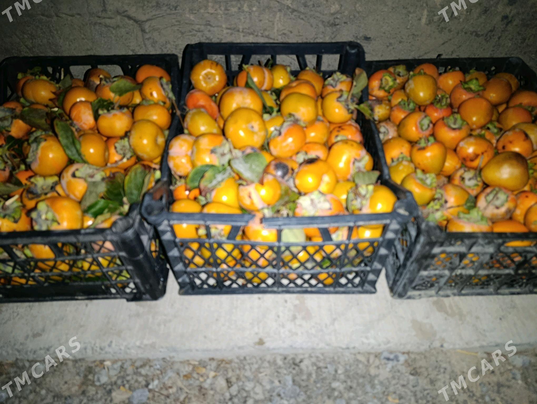 Hurma - Ашхабад - img 2