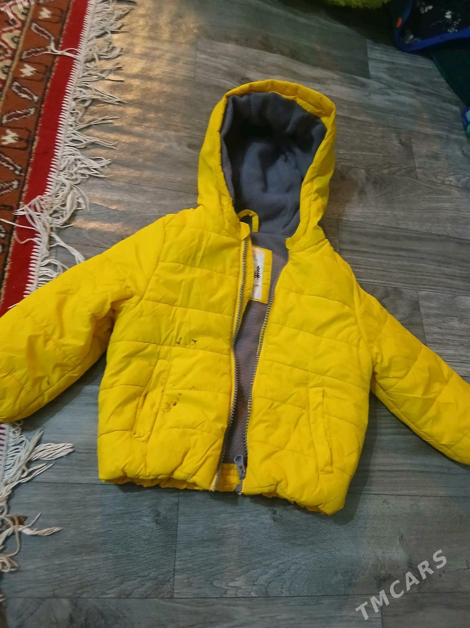 kurtgalar - Туркменабат - img 3