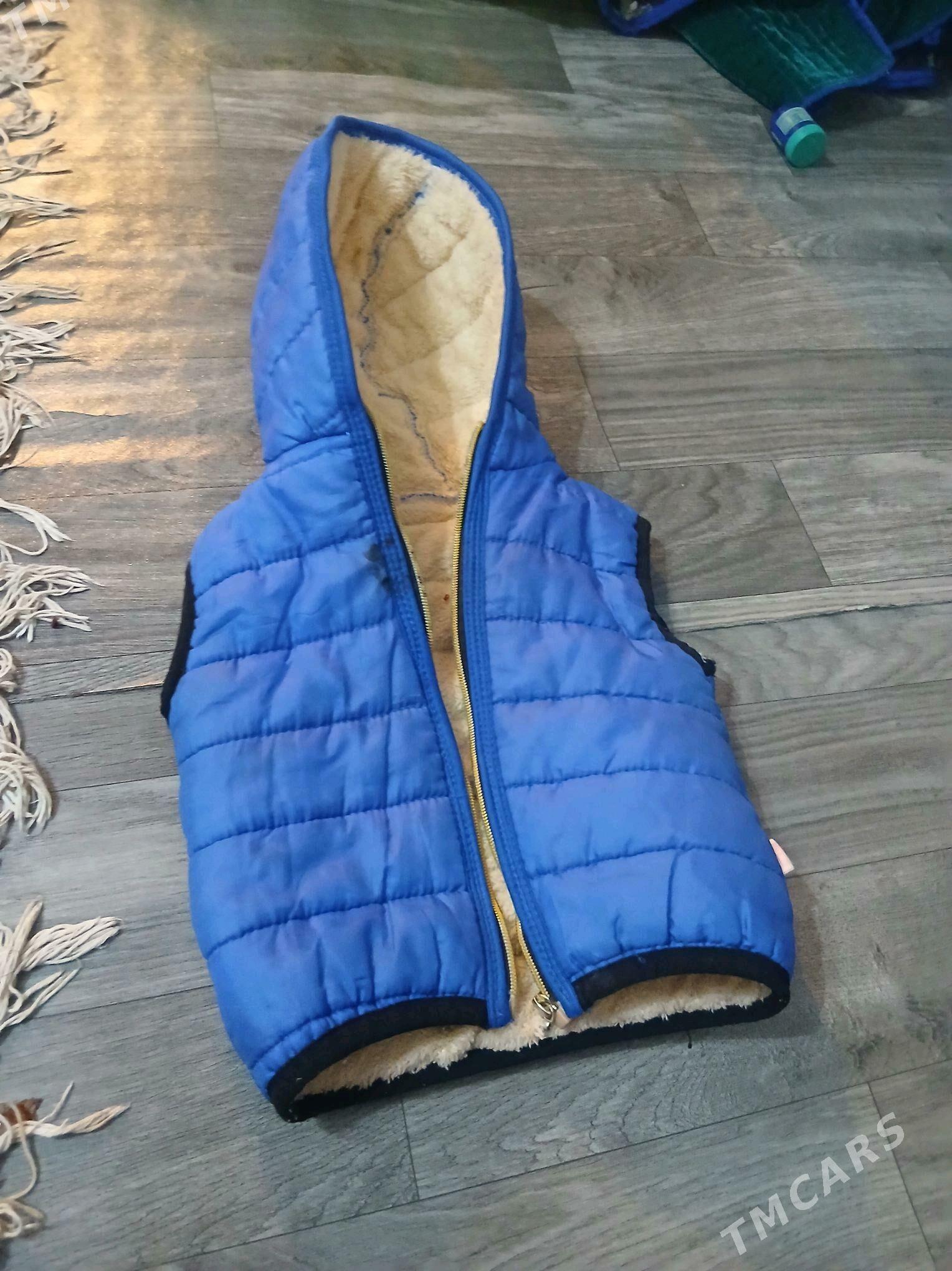 kurtgalar - Туркменабат - img 6