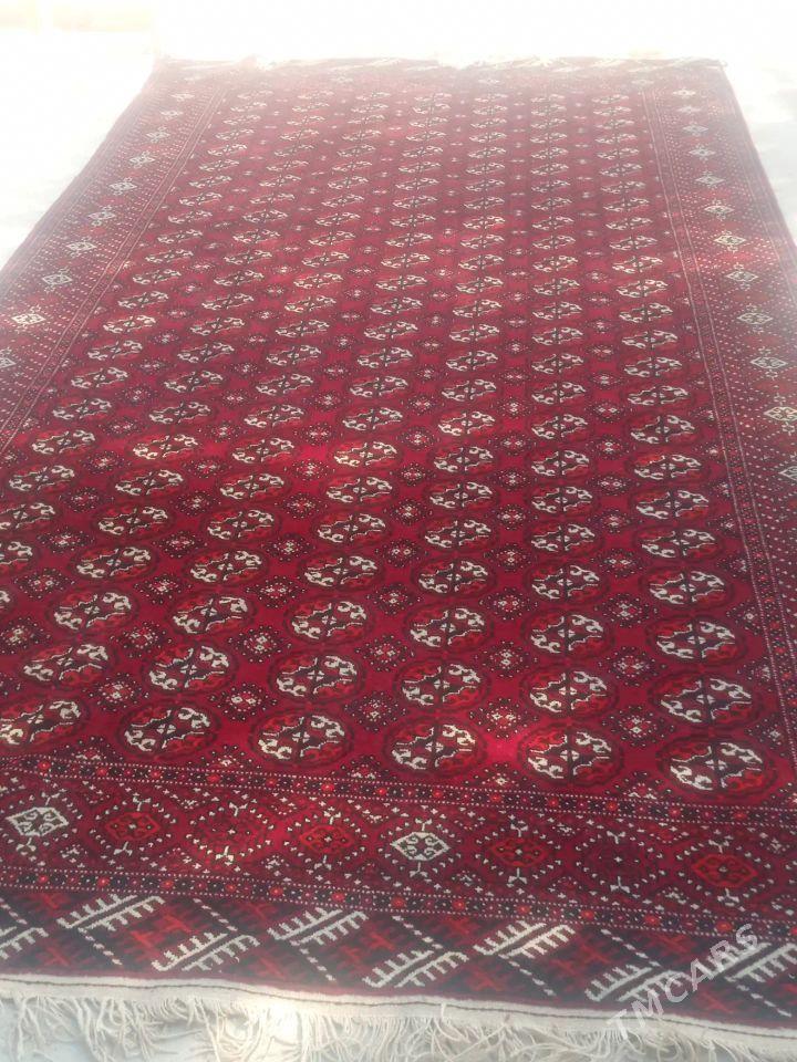 Haly  халы - Balkanabat - img 2