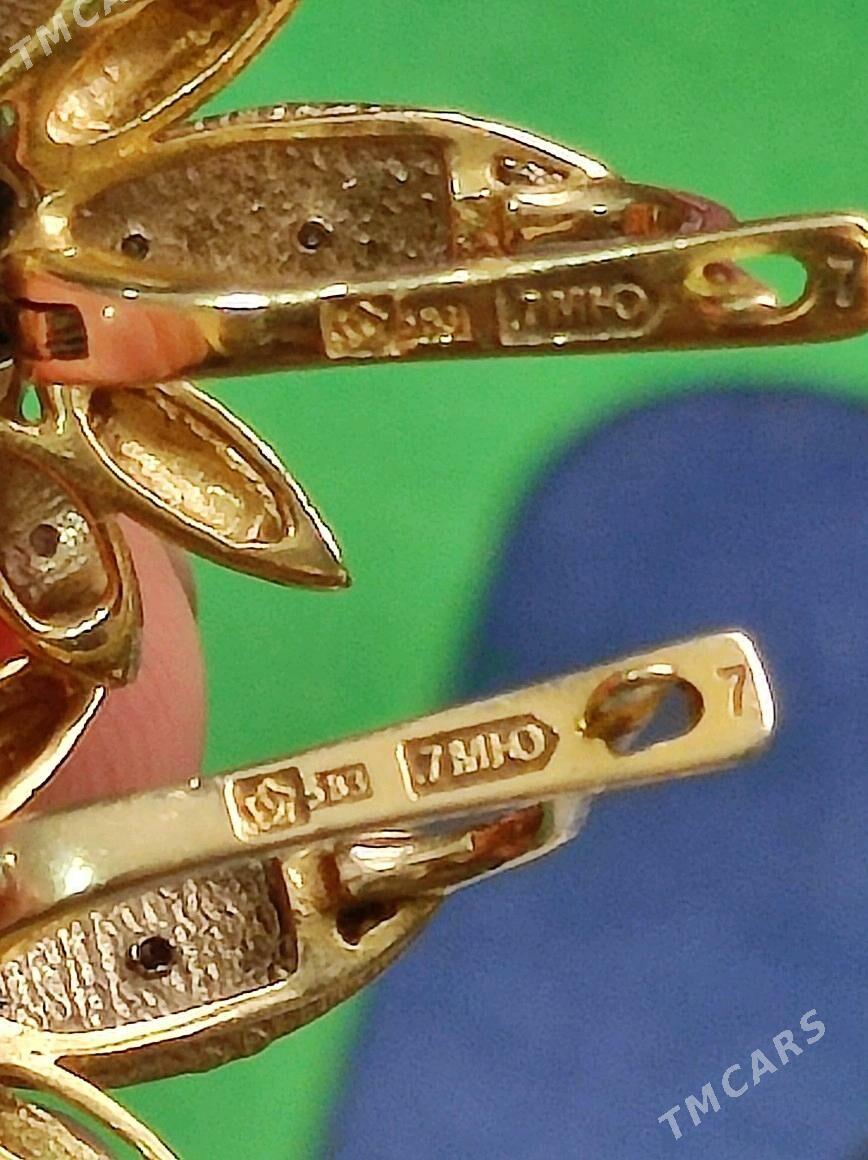 Gyzyl - Aşgabat - img 3