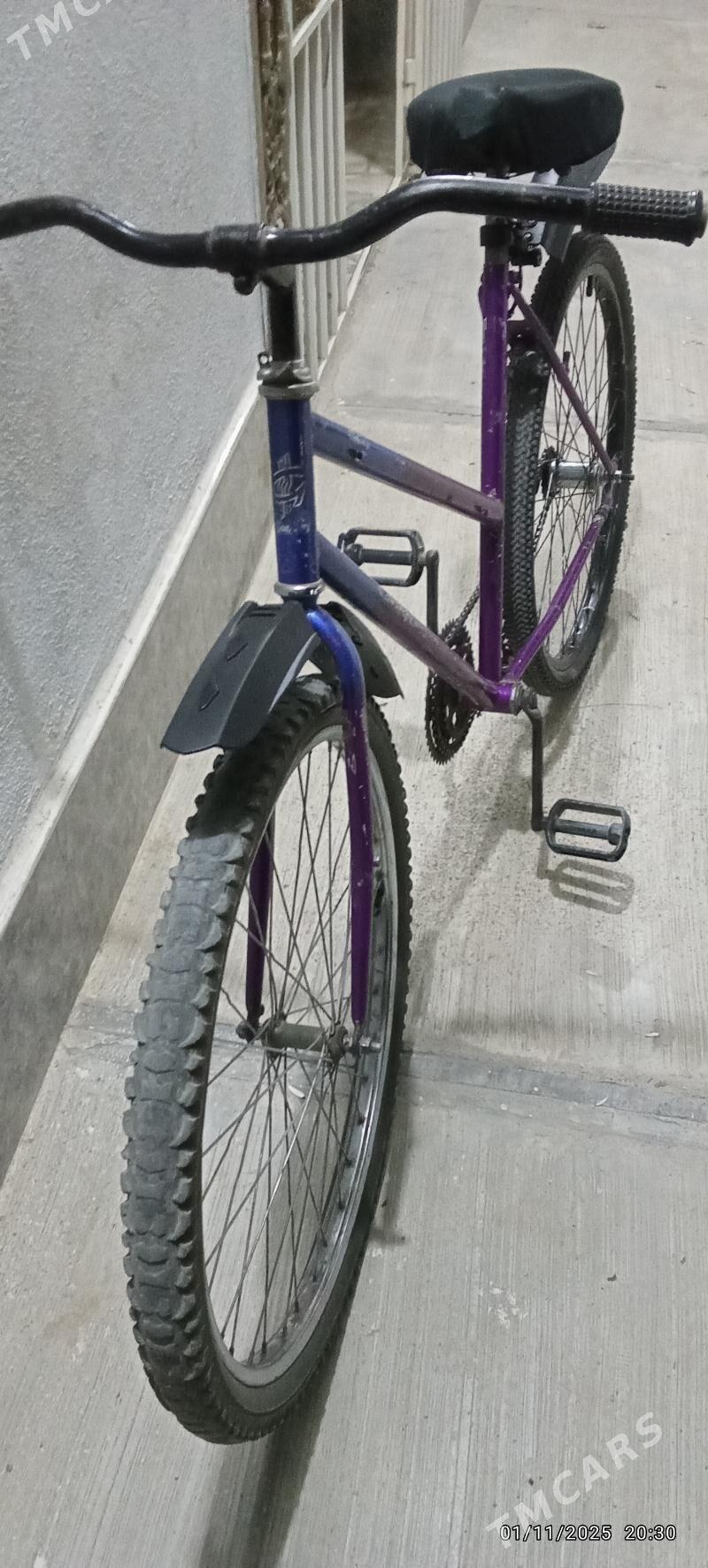 tigir - Гызыларбат - img 2