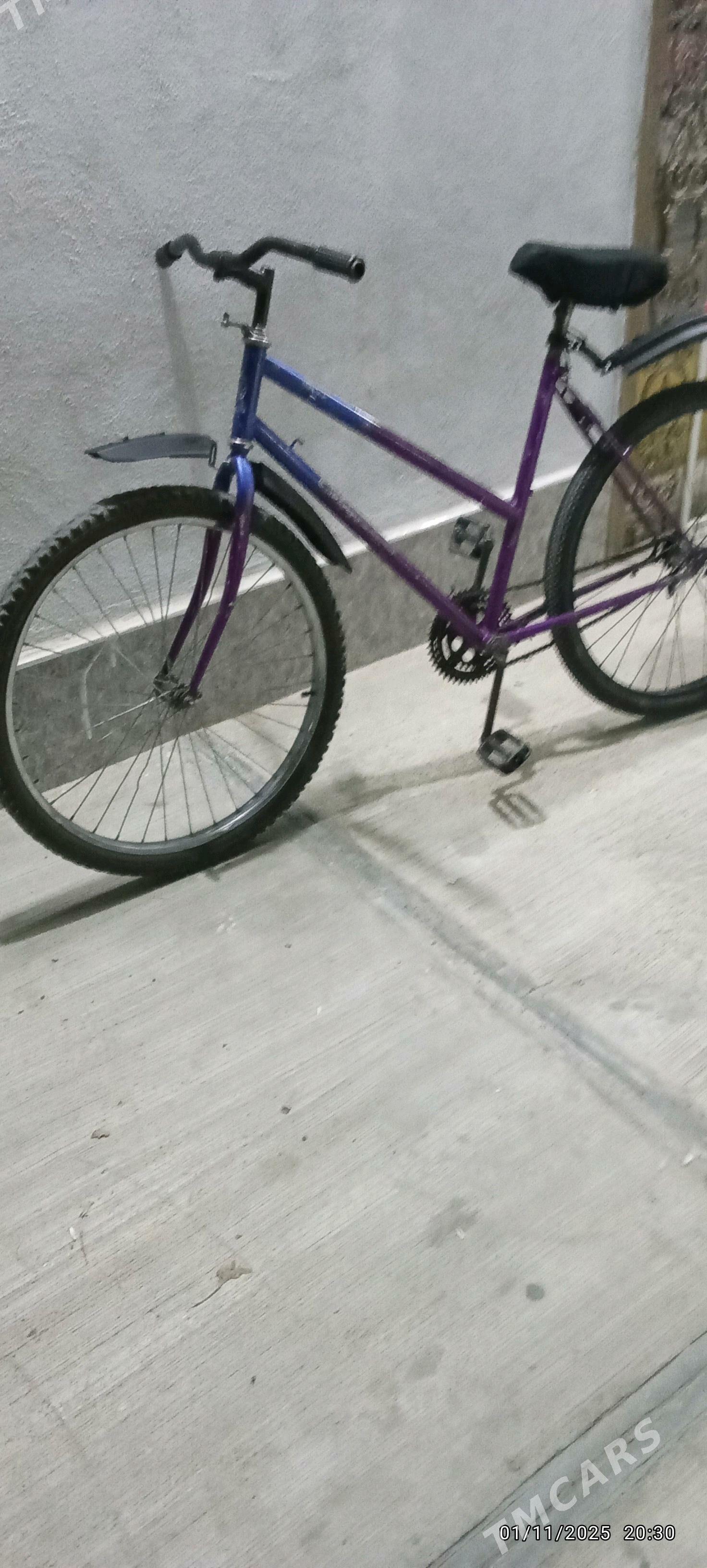 tigir - Гызыларбат - img 3