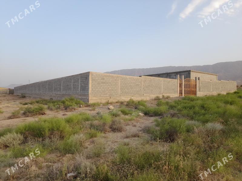 Satlyk Jaý Ýer - Aşgabat - img 2