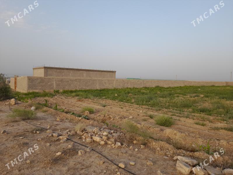 Satlyk Jaý Ýer - Aşgabat - img 3
