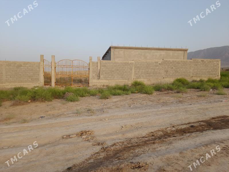 Satlyk Jaý Ýer - Aşgabat - img 1