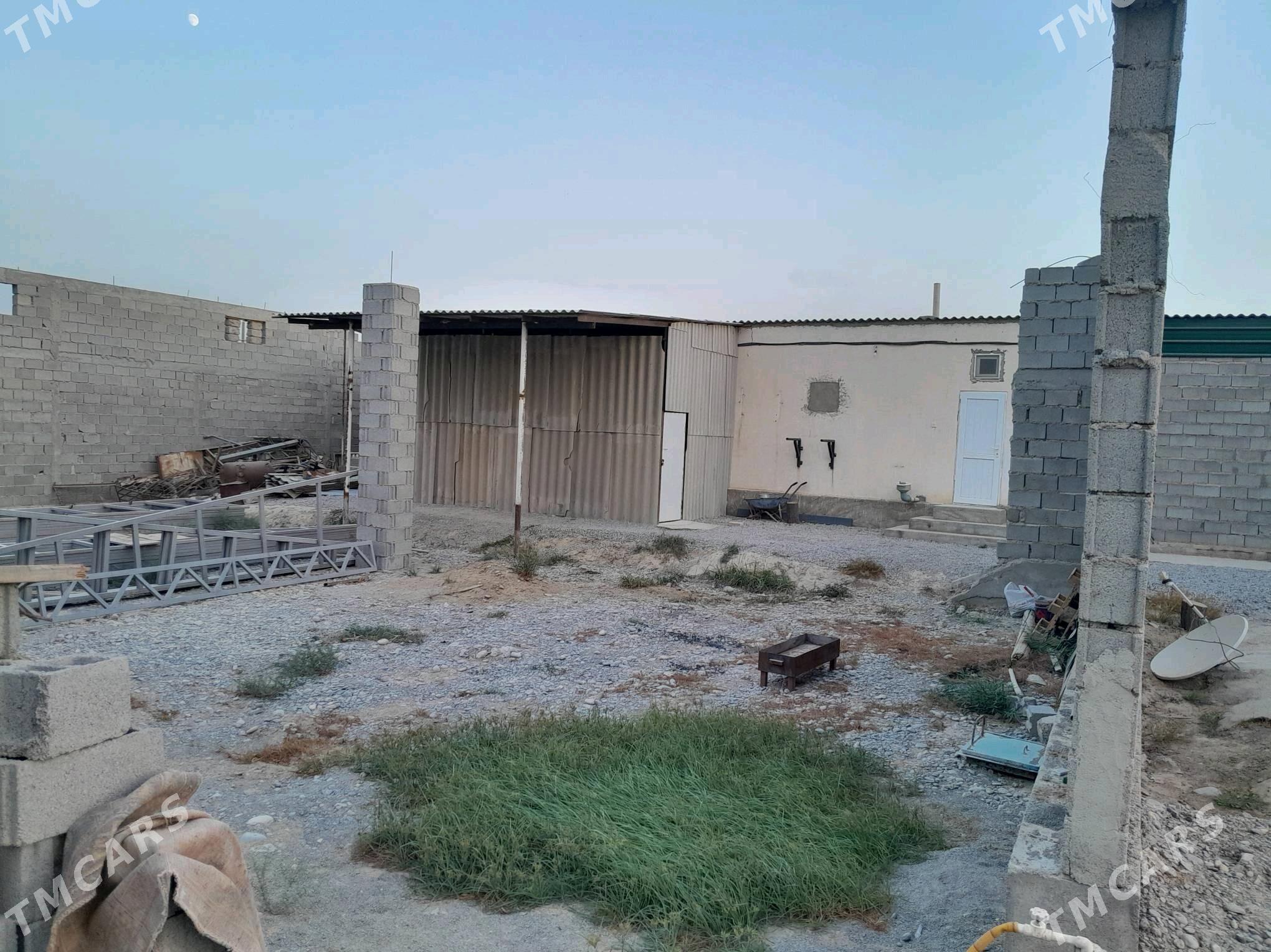 satlyk plan jay - Ak bugdaý etraby - img 7