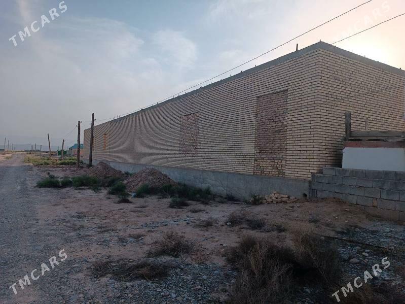 Satlyk jaý - Kaka - img 2